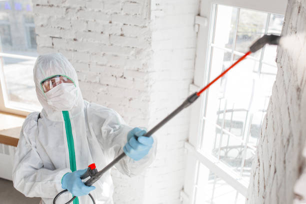 Best Airborne Mold Testing  in Chandler, IN