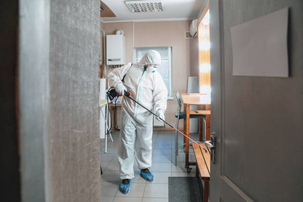 Best Environmental Consulting for Mold Prevention  in Chandler, IN