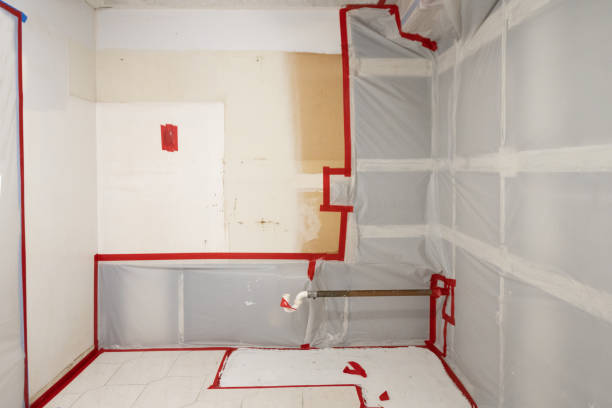 Best Biohazard Mold Removal  in Chandler, IN