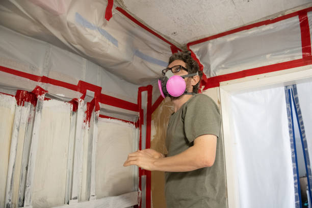 Chandler, IN Mold Removal Company