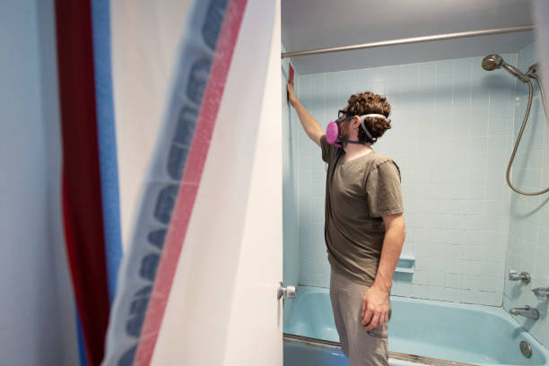 Best Forensic Mold Investigation  in Chandler, IN